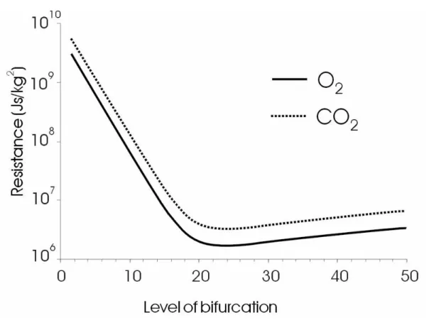 Fig 3.4 Total resistance to oxygen and carbon dioxide transport between the entrance  of the trachea and the alveolar surface is plotted as function of the level of  bifurcation (n)