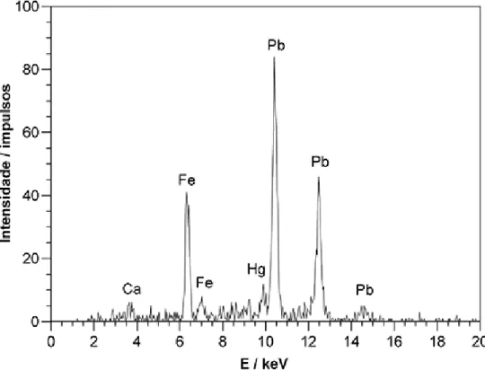 Figura 9. Espectro de XRF obtido na zona da barba. 