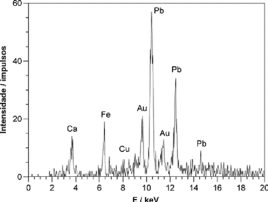 Figura 10. Espectro de XRF obtido na zona da mozeta. 