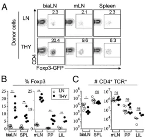 Fig. 1. Thymocytes are enriched in precursors of Tregs that differentiate in the periphery on lymphopenia