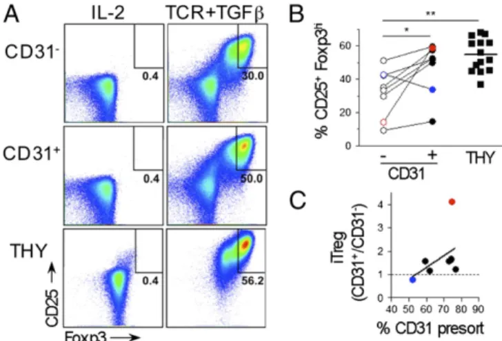 Fig. 7. Preferential differentiation of human thymocytes and RTEs into Treg ex vivo. Human thymocytes and peripheral blood mononuclear cells sorted as CD8 − CD4 + CD25 − CD127 hi , and for peripheral blood mononuclear cells, according to CD31 expression, t