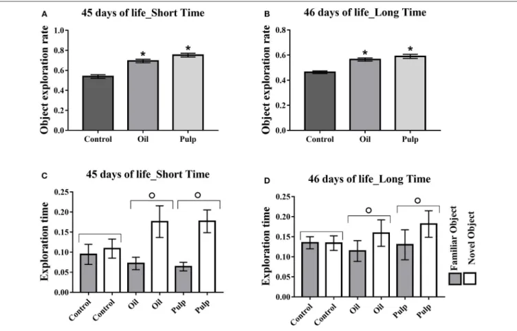 FIGURE 6 | Adolescent offspring; short and long term memory test; preference in the object exploration