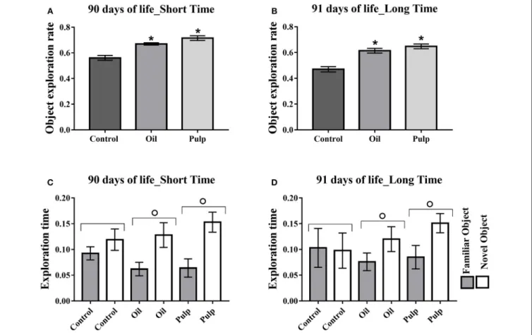 FIGURE 7 | Exploration of test objects (short and long-term memory) in adult offspring