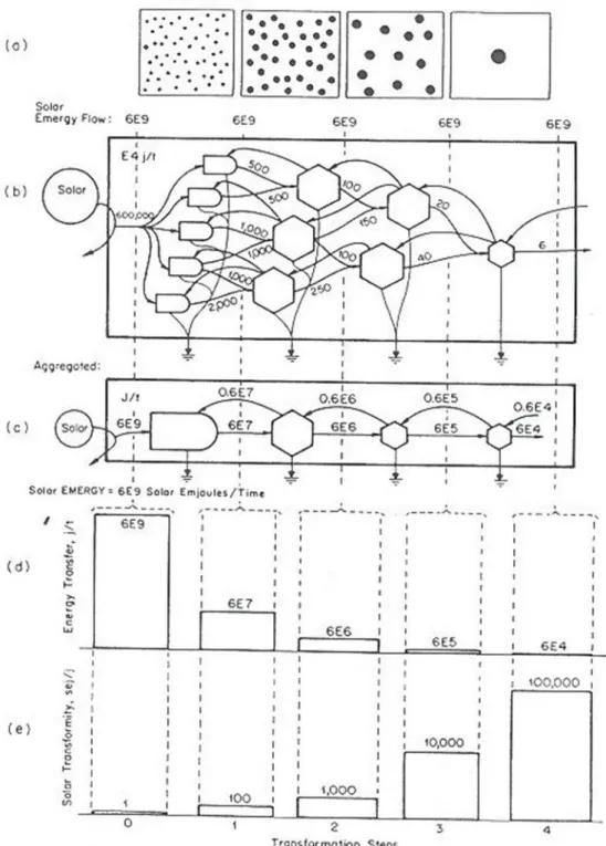 Figure 1 – Energy transformation hierarchy. (a) Spatial view of units and their territories