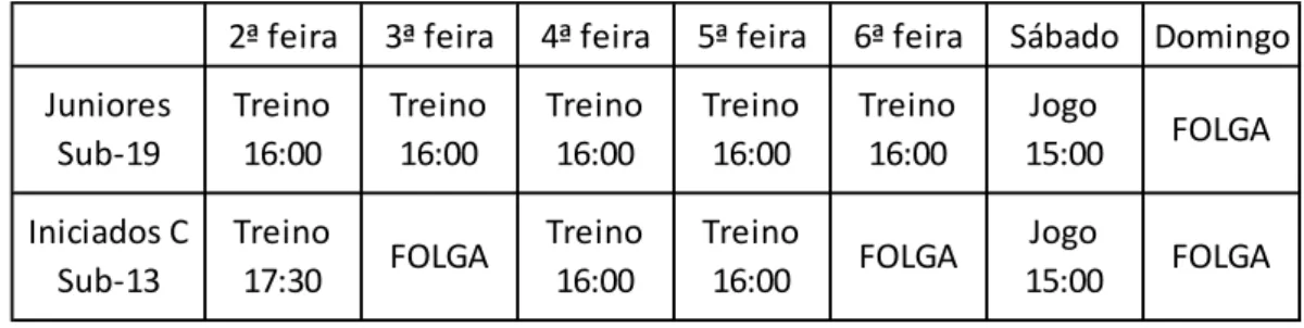Tabela 3 - Microciclo Padrão 