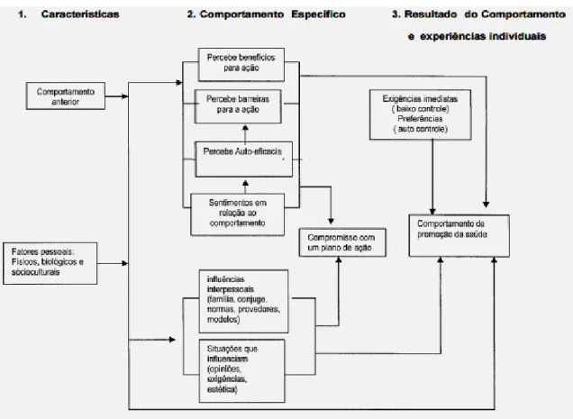 Figura 1 - Diagrama do Modelo de Promoção a Saúde de Nola Pender. 