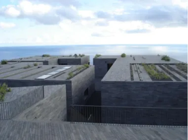 Fig 13 - Casa das Mudas, Paulo David, 2004