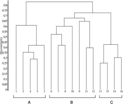 Figura 2. Dendograma de classificação dos inventários de comunidades de Solenopsis laurentia  [UPGMA / Bray-Curtis]