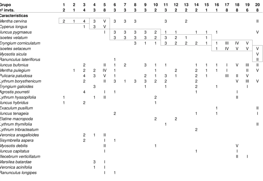 Tabela 4. Menthion cervinae (Isoetetalia, Isoeto-Nanojuncetea)  Grupo  1  2  3  4  5  6  7  8  9  10  11  12  13  14  15  16  17  18  19  20  nº invts