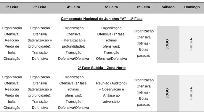 Tabela 8 - Microciclo semanal (objetivos) 