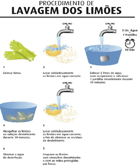 Figura 7 - Procedimento a seguir para a lavagem da matéria-prima limão. 