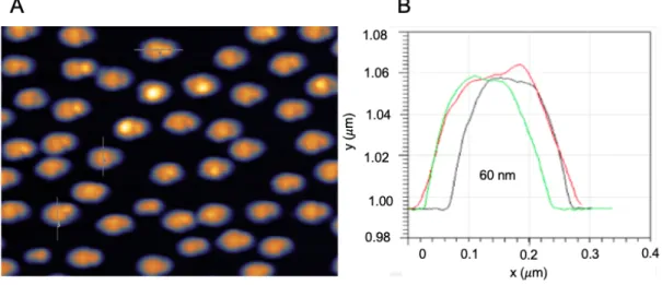 FIG 13: AFM scanning result from nanohippos samples with 2um 2  A) AFM image of the nanohippos  with a 20nm Au layer on top of 10nm Al layer and B) height of nanohippos structures