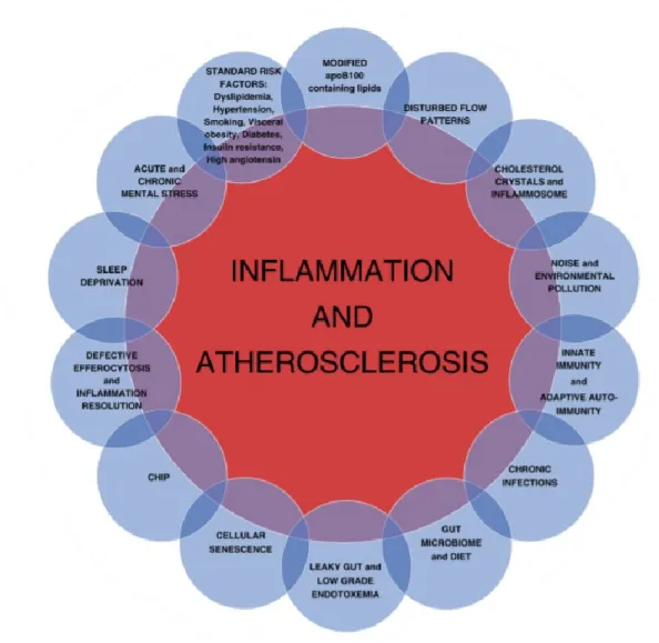 Figura 5: Diferentes vias para a inflamação na aterosclerose. (Shah &amp; Lecis, 2019) 