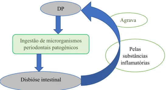 Figura 7: Relação entre disbióse intestinal e DP.
