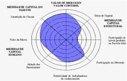 Figura 05 – Navegador do Capital Intelectual  Fonte: STEWART (1997) 