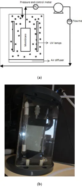 Figure 6. Submerged membrane photocatalytic reactor (a,b) and photocatalytic membrane (c),  developed and tested to treat olive mill wastewaters