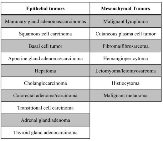 Table 6: Canine neoplasms selected for immunostaining (adapted from: Ginn P.E., 1996)