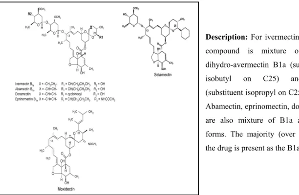Figure 7: Structures of macrocyclic lactones (from: Edwards G., 2003). 
