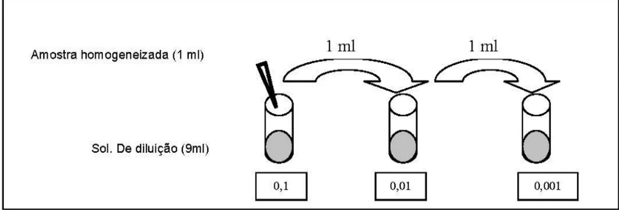 Fig 1 - Técnica das diluições sucessivas 