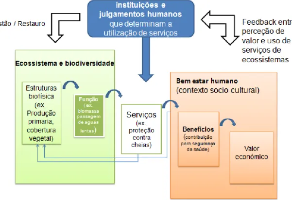 Fig  3  -  diagrama  funcionamento  dos  serviços  de  ecossistema  e  bens  estar humanos TEEB adaptado (TEEB 2010) 