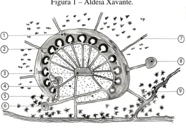 Figura 1 – Aldeia Xavante.   