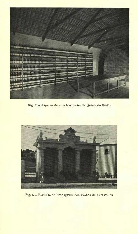 Fig. 7 — Aspecto de uma frasqueira da Quinta do Barão
