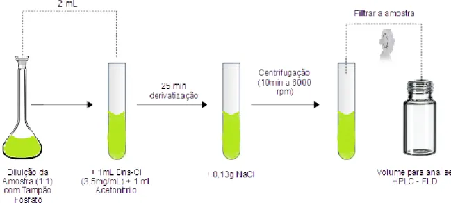 Figura 5 – Esquema ilustrativo da preparação da amostra para análise em HPLC-FLD. (Adaptado de Ramos et al.2014) 