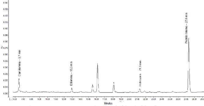 Figura 11 - Cromatograma HPLC-FLD de Aminas Biogénicas do Vinho Palhete 4. 