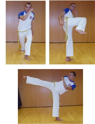 Figura 13: Pisão.
