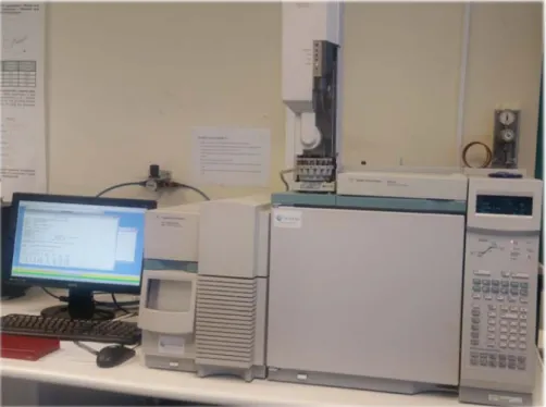 Figura 10.: Cromatógrafo Gasoso com detetor de Espectrometria de Massa (GC-MS) do Laboratório de  Ciências Forenses e Psicológicas Egas Moniz (LCFPEM)