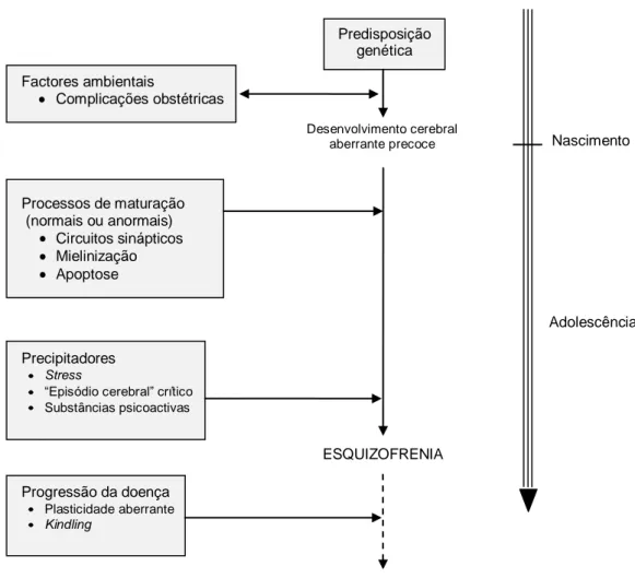 Figura 1 – Modelo neurodesenvolvimental da esquizofrenia (Harrison et al., 2006, 254)