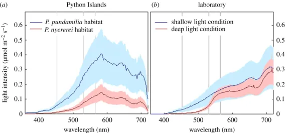 Figure 1. Light conditions at Python Islands and in the laboratory. (a) Downwelling irradiance in the natural habitats of P