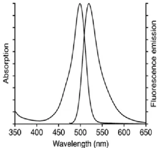 Figure 2.2- Alexa-Fluor 488 Absorption and emission Spectra 