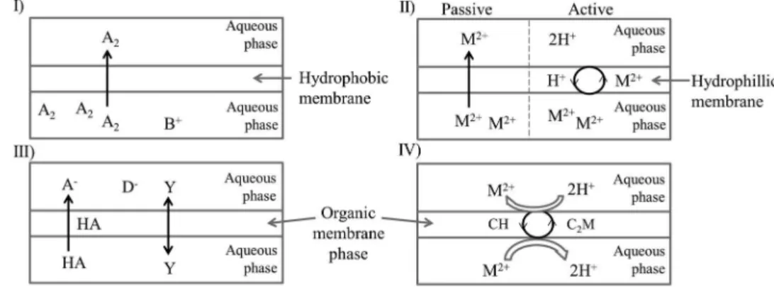 FIGURE 3. Schematic representation of the membrane extraction processes in: (I) gas diffusion; (II) dialysis; (III) supported liquid membrane and (IV) supported liquid membrane or polymer inclusion membrane (the carrier is represented by the letter C) (23 