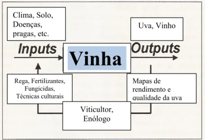 Figura 1 - Processo de entradas (inputs) e saídas (outputs). Adaptado de Corky &amp; 