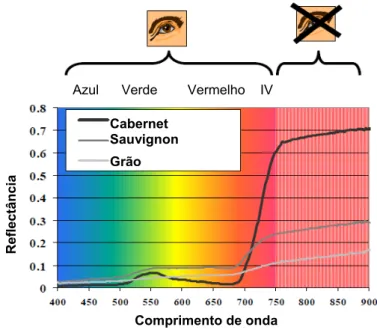 Figura 4 - Perfil do espectro reflectido determinado para vinha (“Cabernet  Sauvignon”), cobertura vegetal (cultura”grão de bico”) e de um solo  vermelho-acastanhado descoberto