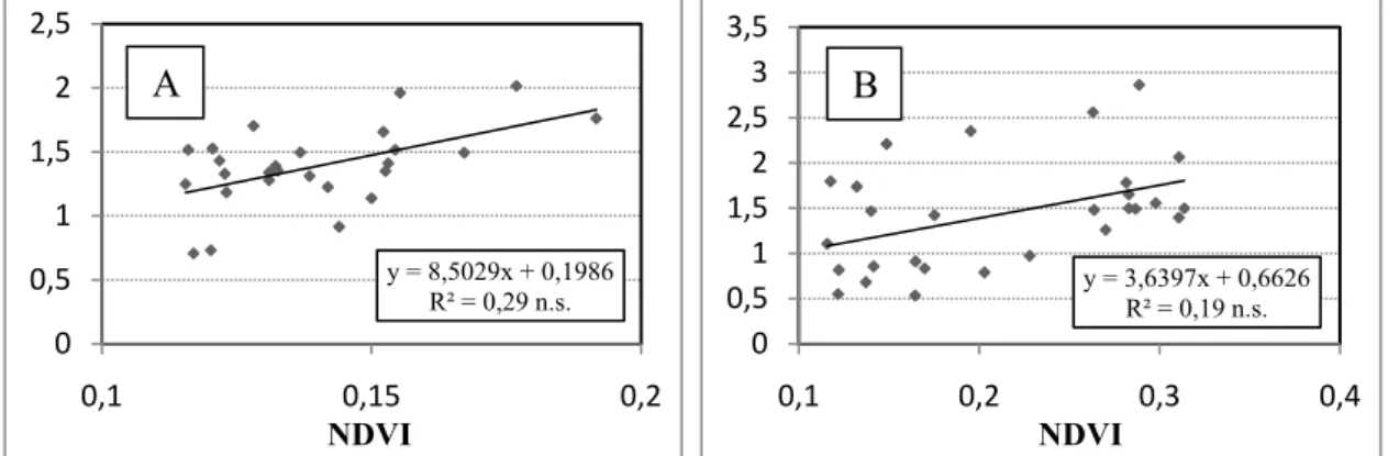 Figura 10 – Relação entre o NDVI e o rácio da área foliar total com a área foliar  exposta em videiras da casta “Syrah” (A) e “Touriga Franca” (B), Tomar, Julho 2008