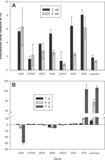 Fig. 3. Expression of ﬂavonoid and stilbene biosynthetic pathway genes altered by sulfate deﬁciency (50 m M, S) in plantlets of Vitis vinifera cv Touriga Nacional grown for 2 and 4 weeks in semi-solid medium (A) and the same genes and laccase in cell suspe