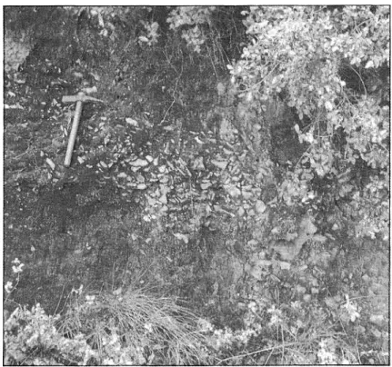 Fot. 1 — Depósito de solifluxão com crioclastos de calcário. Vale do ribeiro das Águas.