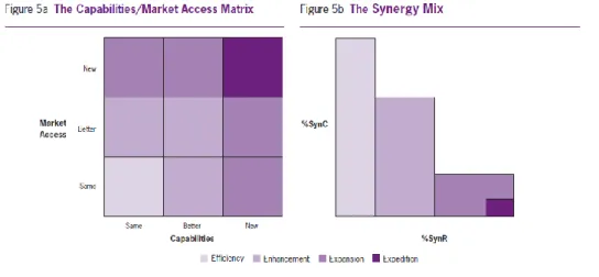 FIGURE 5: CAPABILITIES/MARKET ACCESS FRAMEWORK. SOURCE: (SIROWER AND SAHNI, 2006) 