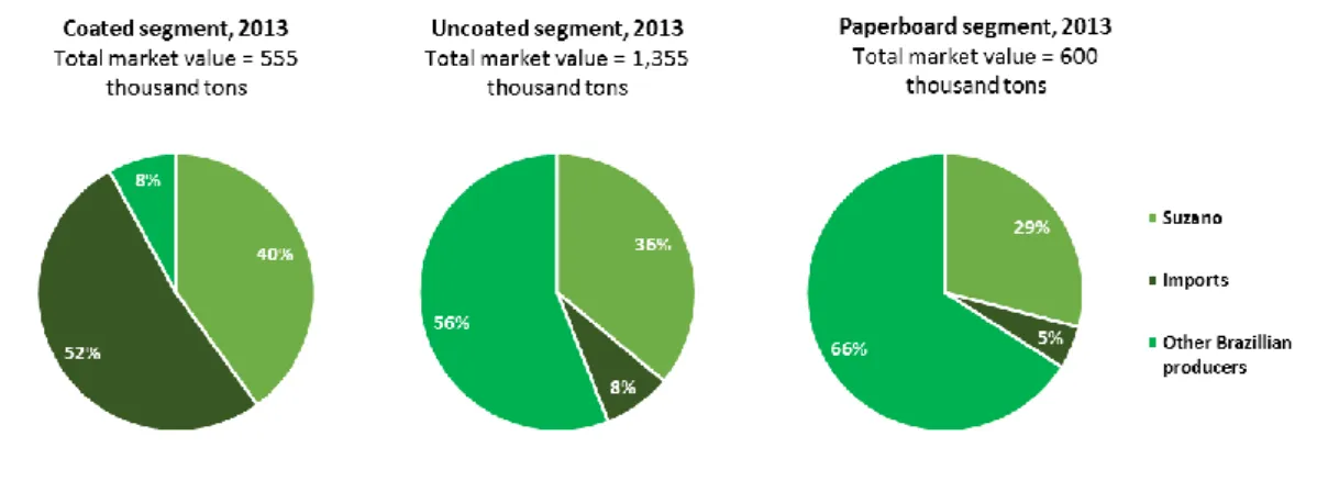 FIGURE 13: MARKET SHARE IN BRAZIL BY SEGMENT. SOURCE: COMPANY INSTITUTIONAL PRESENTATION 