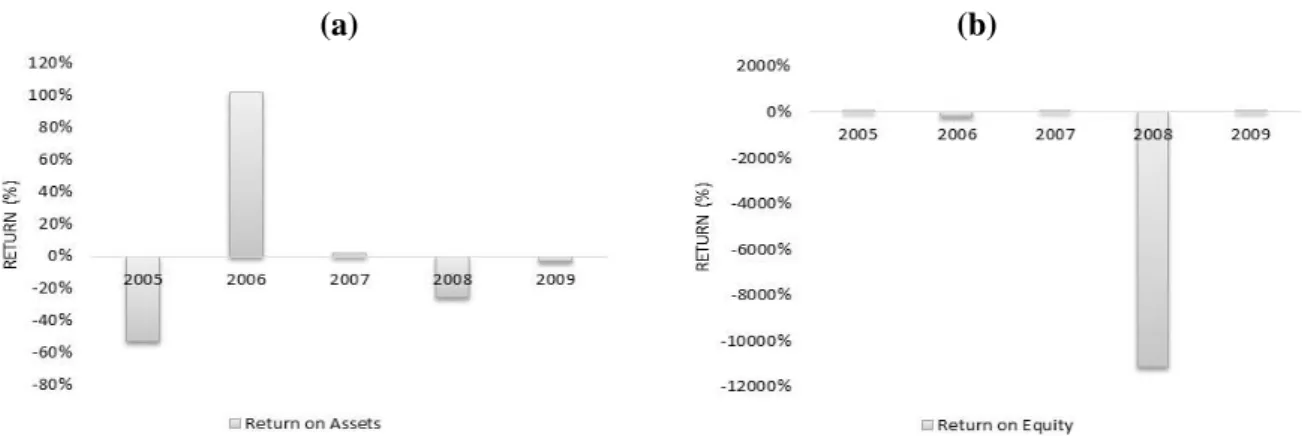 Figure 10. Evolution of United’s return on assets and return on equity (2005-2009)