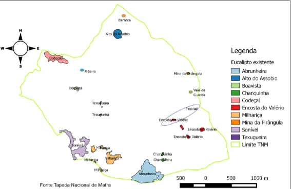 Figura 7 - Mapa com a localização e designação das manchas de eucaliptal existentes na TNM em 2008 (Fonte: 