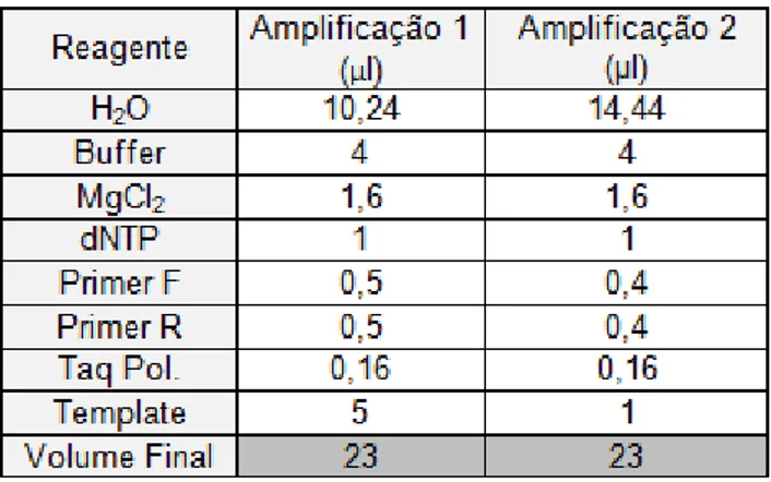 Tabela 4 – Volume utilizado dos reagentes para a reacção e amplificação por PCR. 