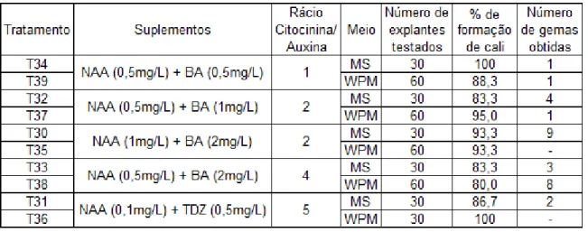 Tabela 9 – Dados obtidos da resposta dos explantes nas diferentes condições, em ensaios  de organogénese