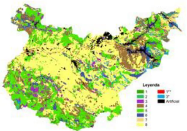 Figura 2: Mapa de vegetación actual de la provincia de Badajoz (Corine Land Cover)  (IGN, 2003)