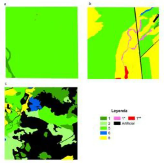 Figura 4: Mapas de vegetación actual para cada uno de las áreas piloto de 2x2Km. 