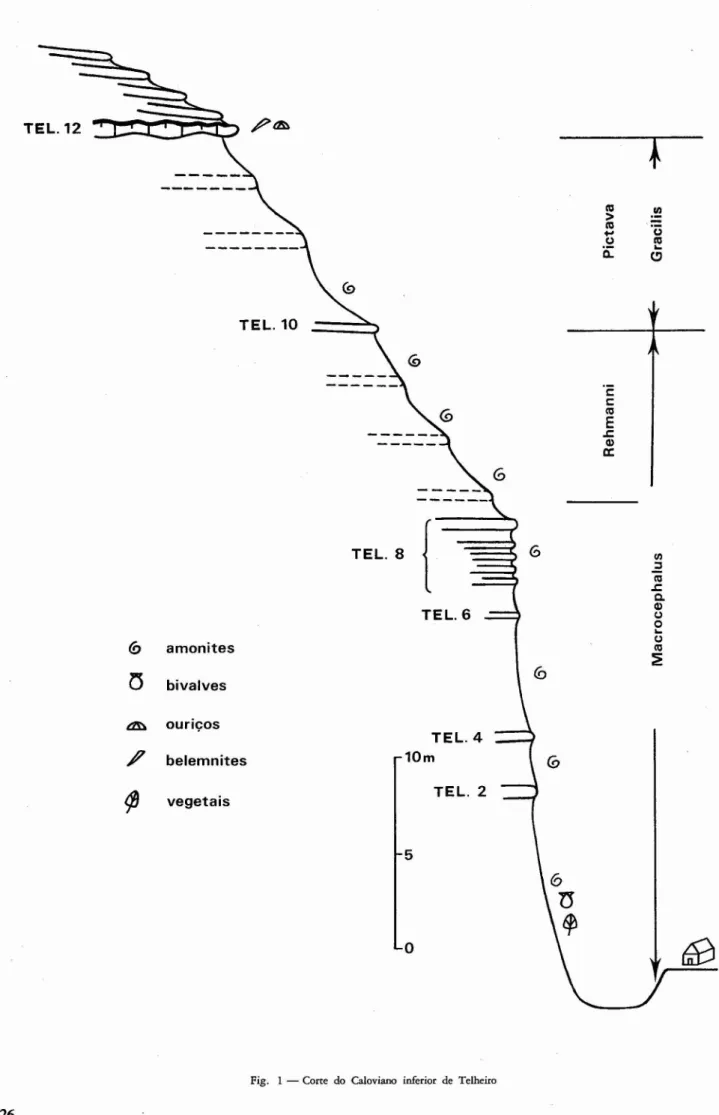 Fig. 1 - Corte do Caloviano inferior de Telheiro