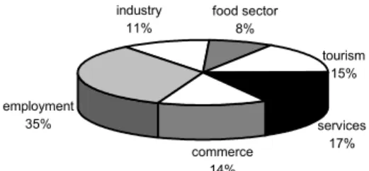 Figure 12 – Main problems identified in the economic problems group by S. João da Madeira citizens  