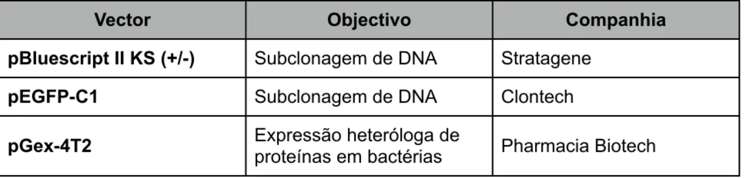 Tabela 2.3 - Vectores usados